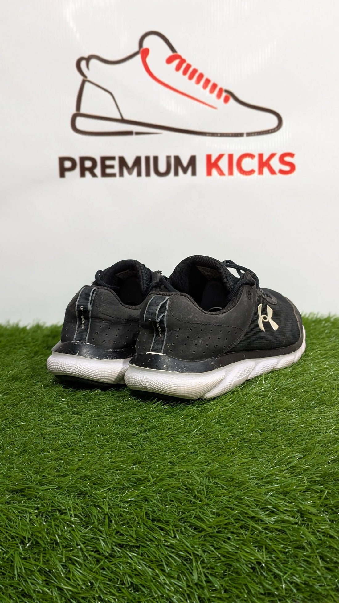 Under Armour Charged Assert 8 Shoes | Premium Kicks